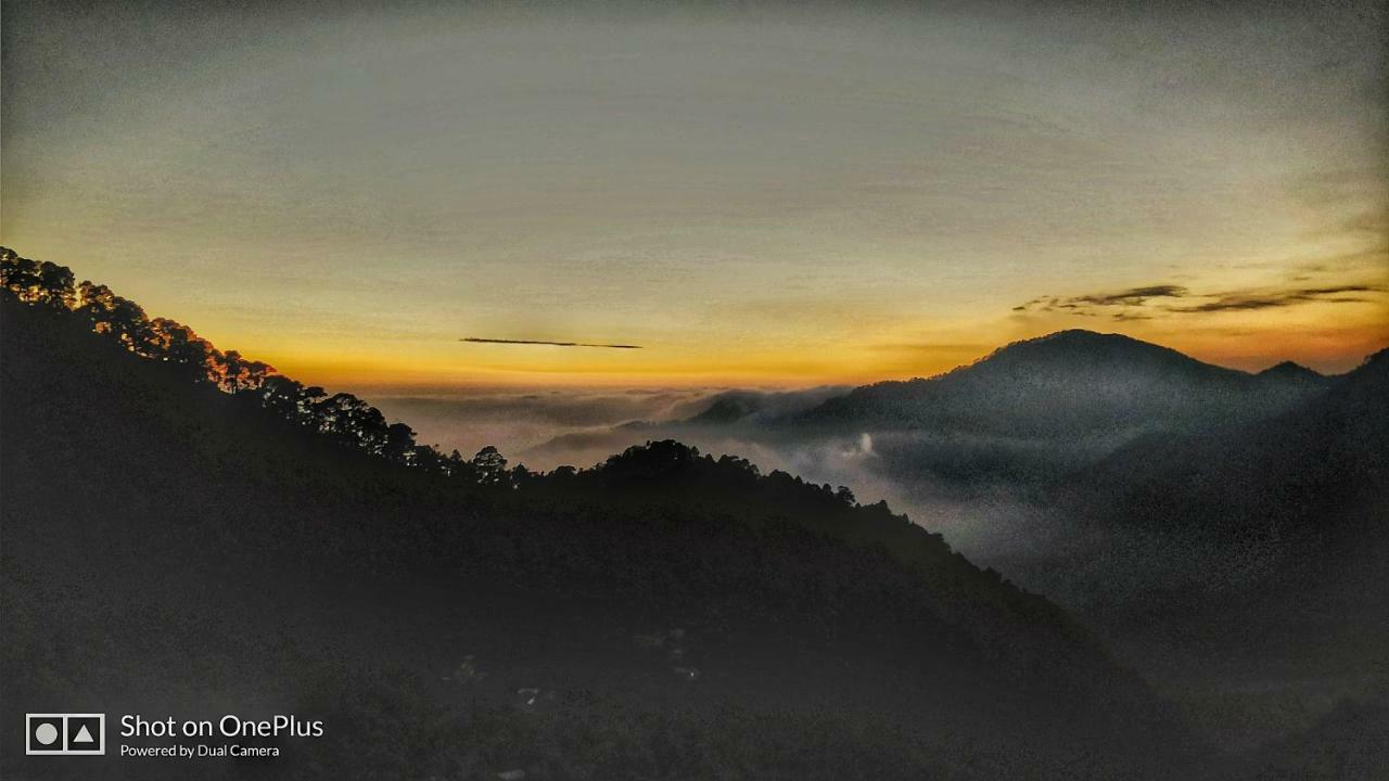 Green Roof Hotel Nainital Esterno foto